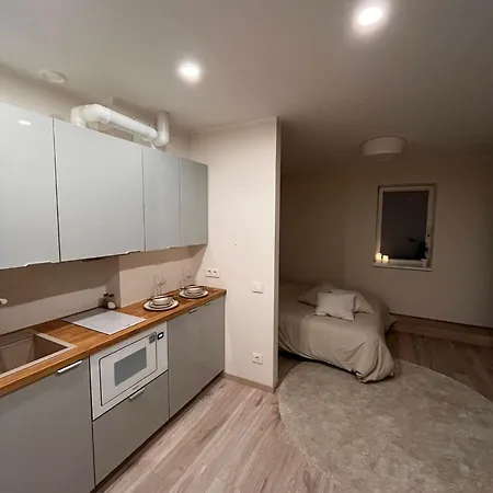 Veerenni Studio, Modern & Central. Tallinn