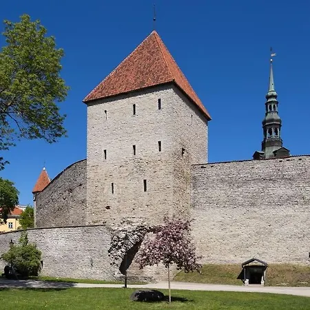 Veerenni Studio, Modern & Central. Tallinn