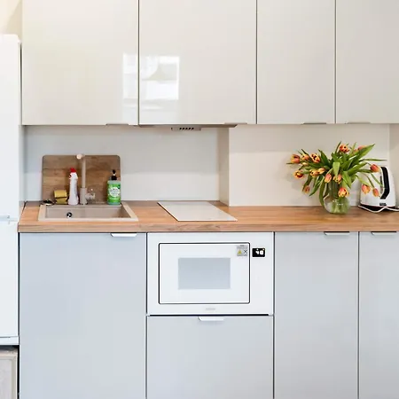 Veerenni Studio, Modern & Central. 塔林